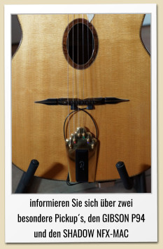 informieren Sie sich über zwei besondere Pickup´s, den GIBSON P94 und den SHADOW NFX-MAC